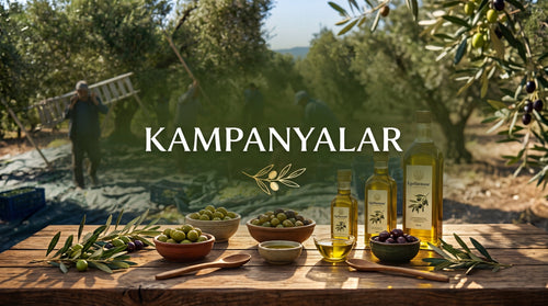 KAMPANYALAR